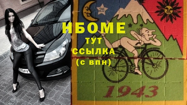 гидра Михайловка