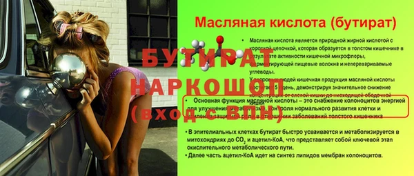 гидра Михайловка